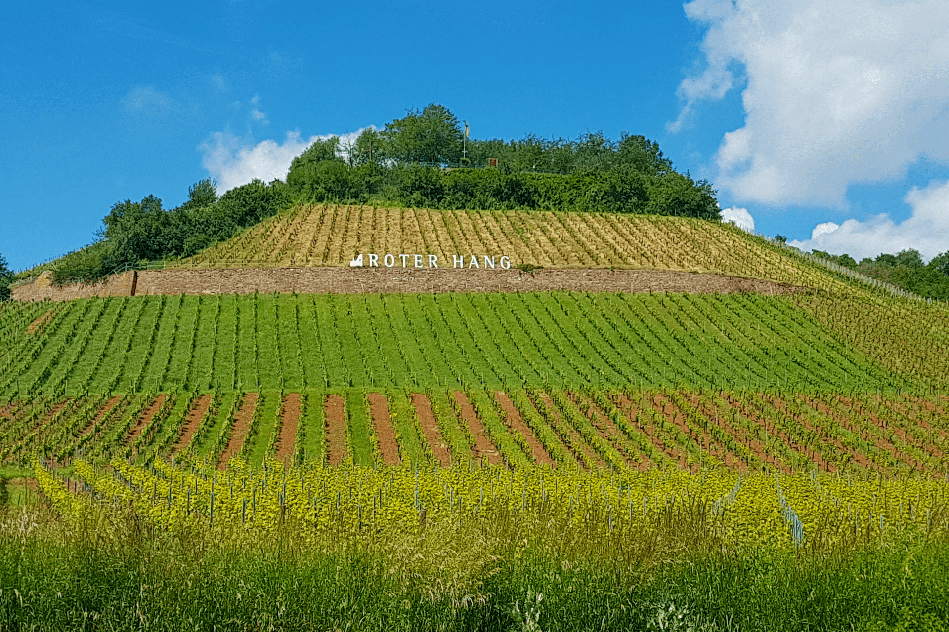 Rheinhessen