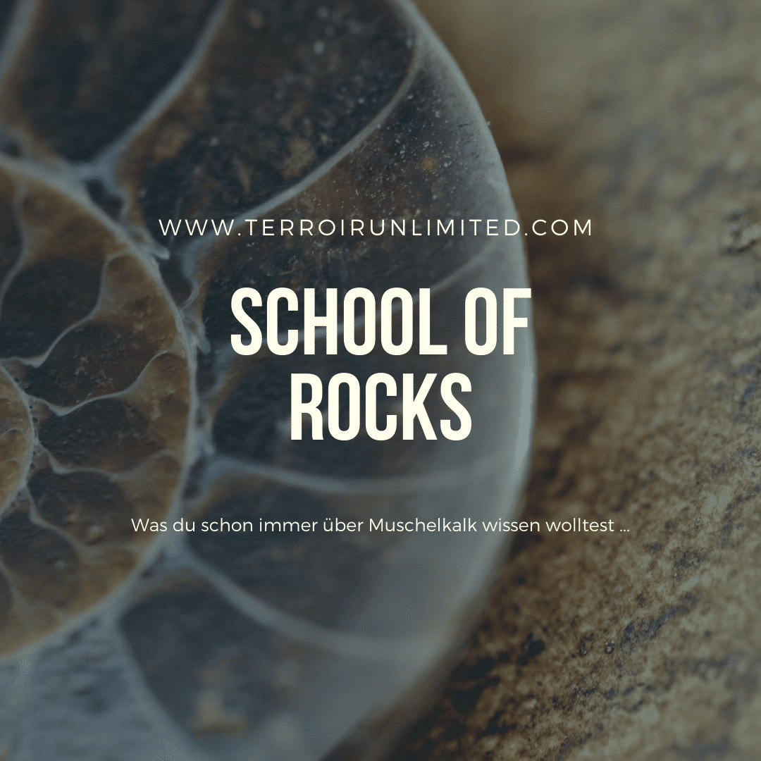 School of Rocks "Muschelkalk"