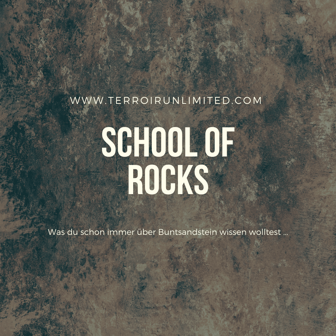 School of Rocks "Buntsandstein"