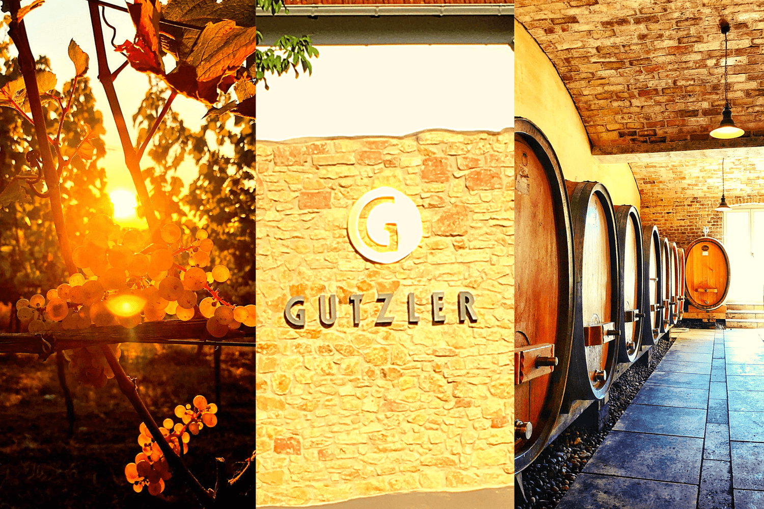 Gutzler - TERROIR UNLIMITED