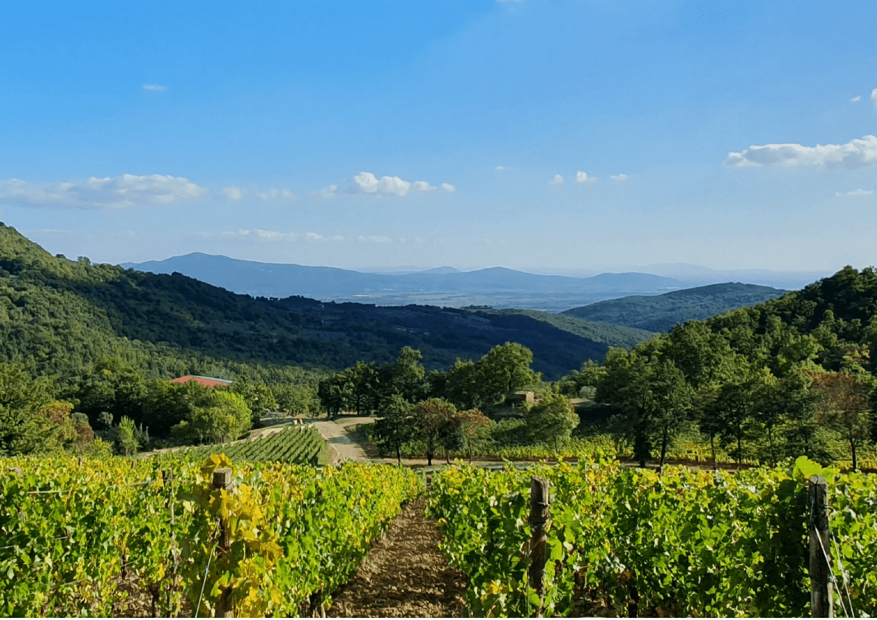 Maremma - TERROIR UNLIMITED