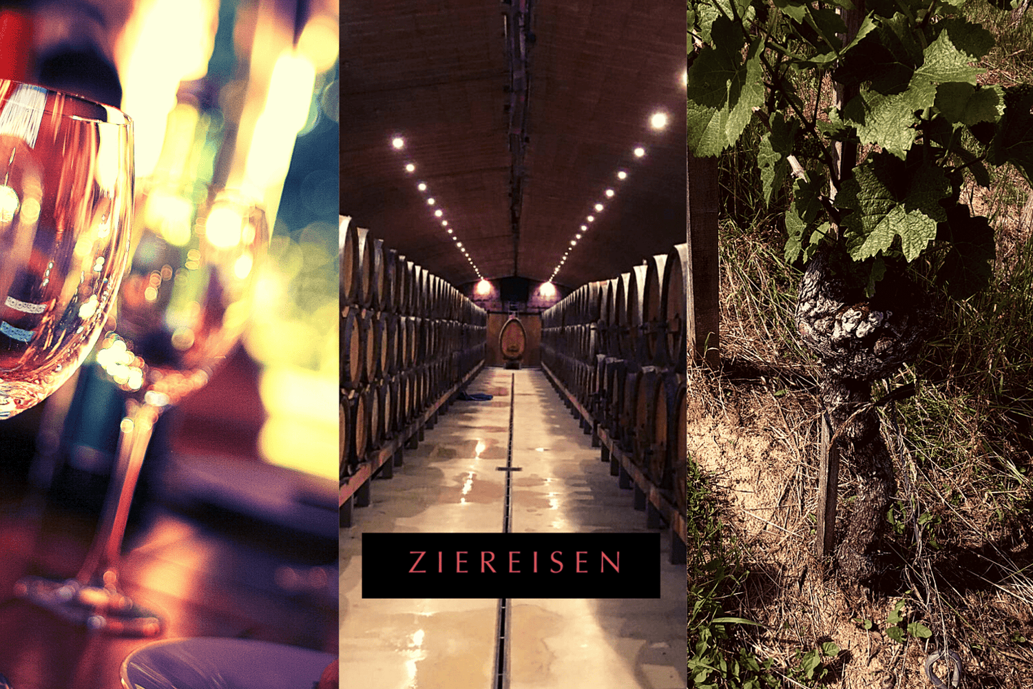 Ziereisen - TERROIR UNLIMITED