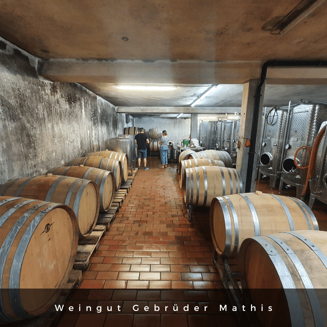 Mathis 2021 Chardonnay Weißwein - TERROIR UNLIMITED